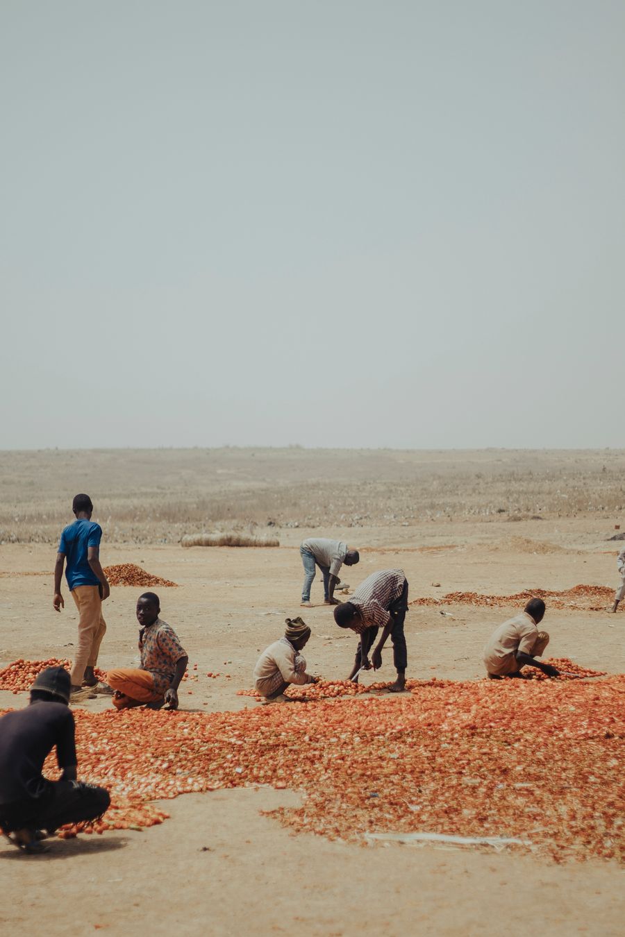 Producteurs triant leur récolte, Nigeria